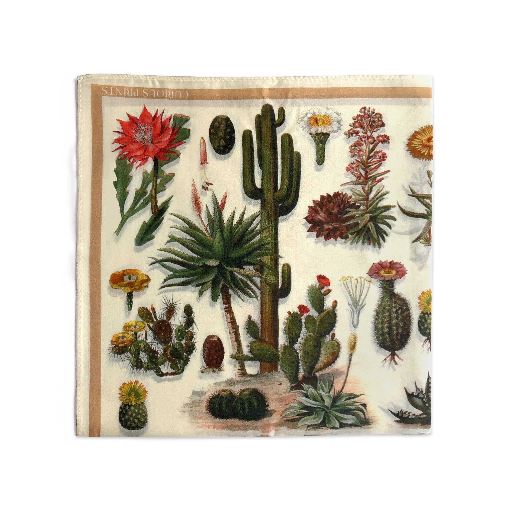 Botanical Cactus 100% Silk Scarf